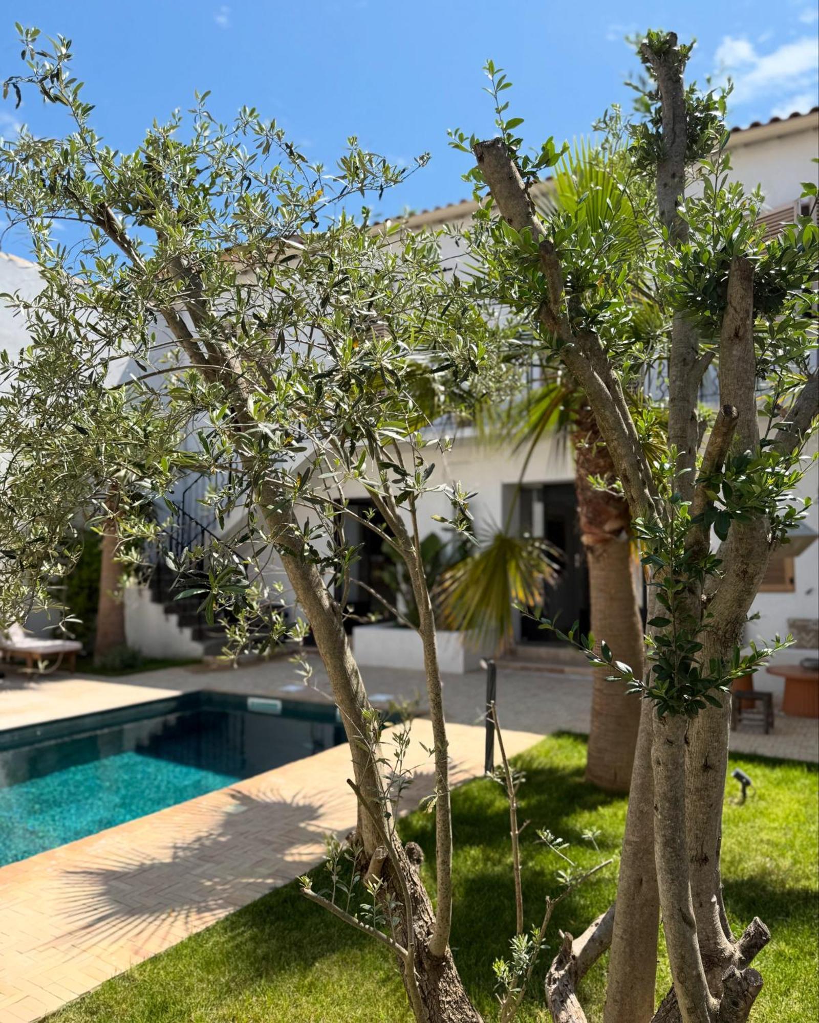 La Maison De Ville - Piscine - Spa Sete Ngoại thất bức ảnh